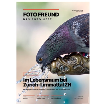 FOTO Heft - Ausgabe 11-2026